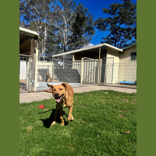 Photo of Max