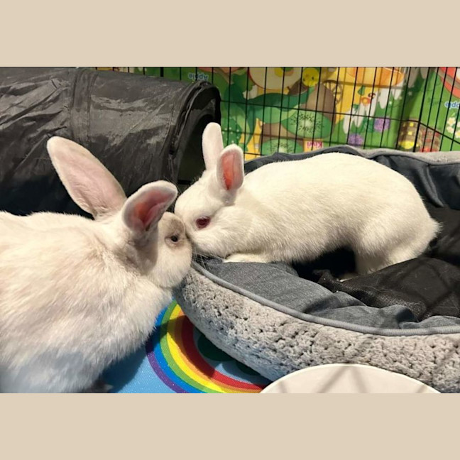 Photo of Mary Hoppins With Audrey Hopburn