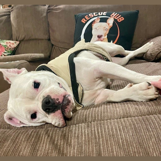 Photo of Sophie
