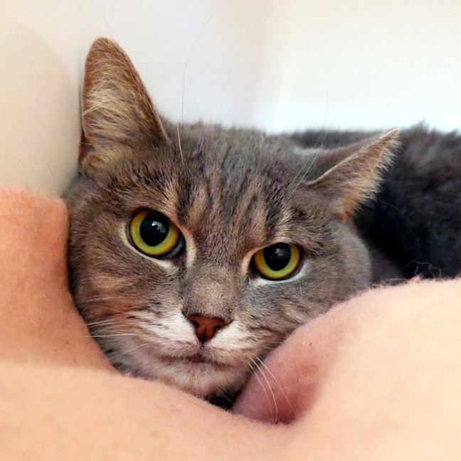 Photo of Penny Rsuk001769