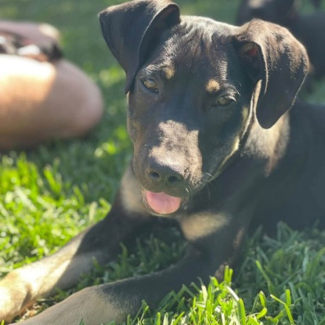 Photo of Zena