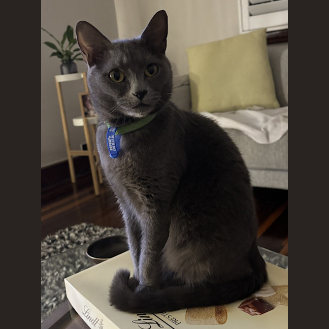 Photo of Merlot