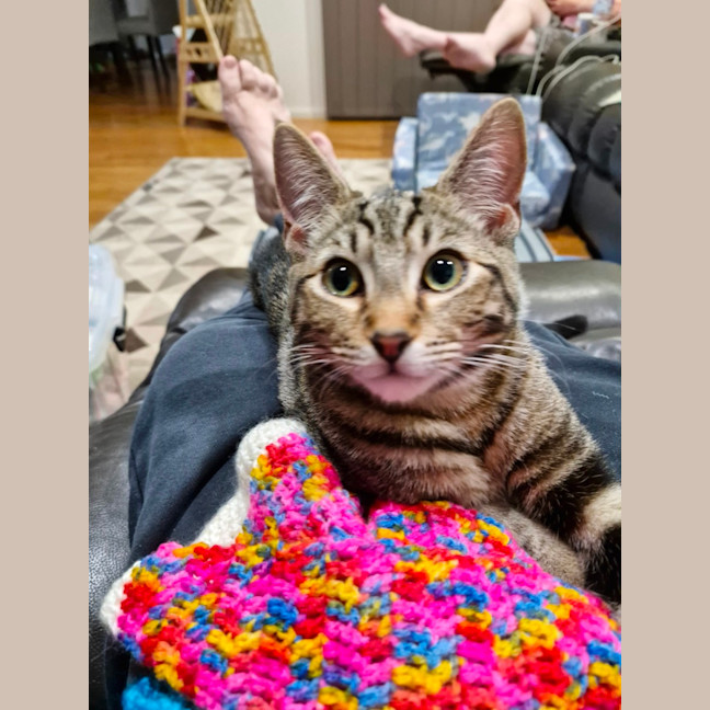 Photo of Sailor And Sari