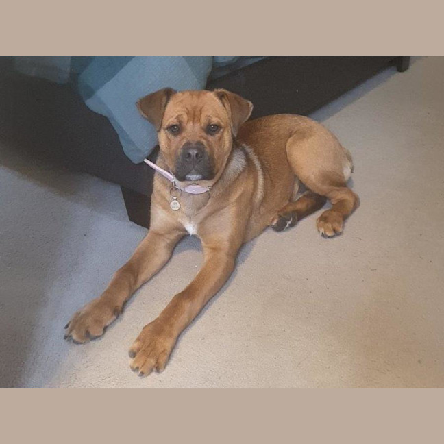 Photo of Skye Peggotty