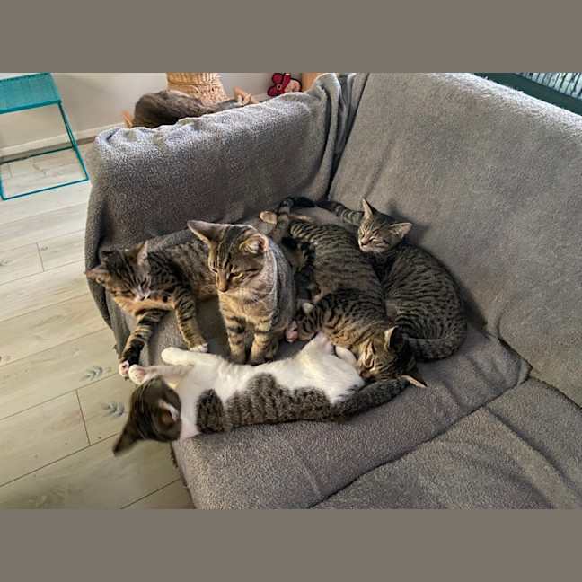 Photo of Fred (Weasley) Of Harry Potter Fame