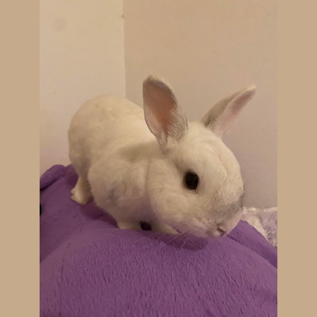 Photo of Fallon And Anders