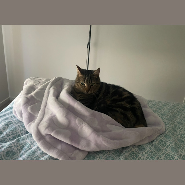 Photo of Hugo 