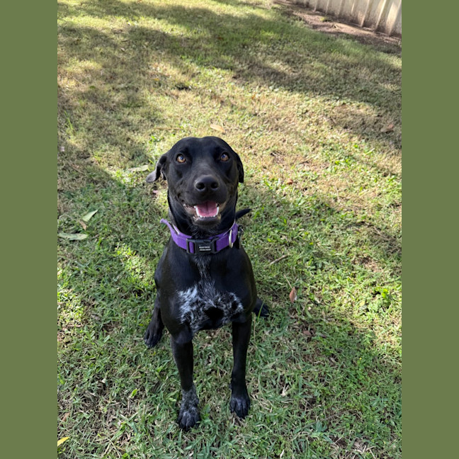 Photo of Luna