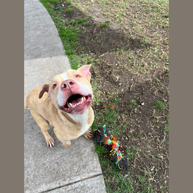Photo of Trevor 