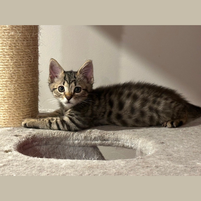 Photo of Luka 😻
