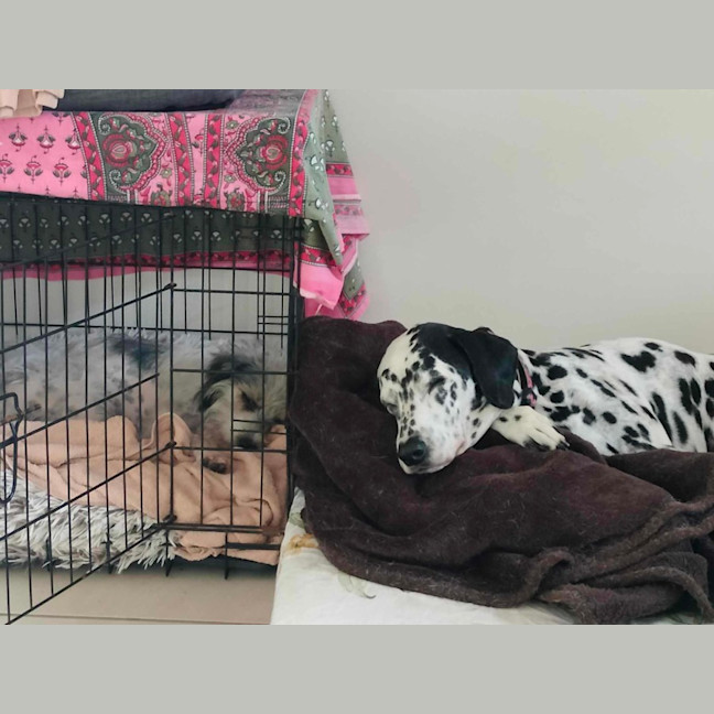 Photo of Missy Muddle