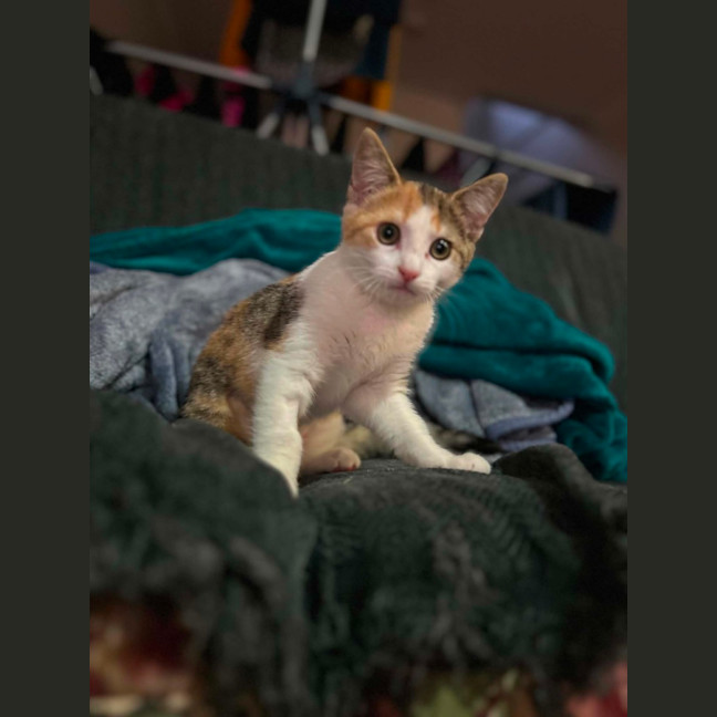 Photo of Cally