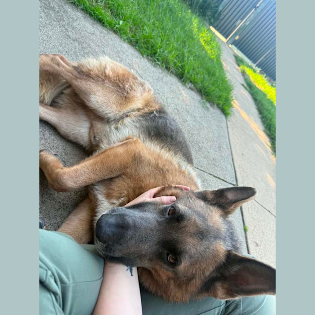 Photo of Blue