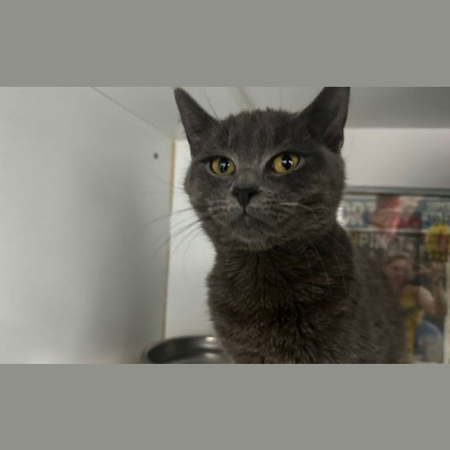 Photo of Storm