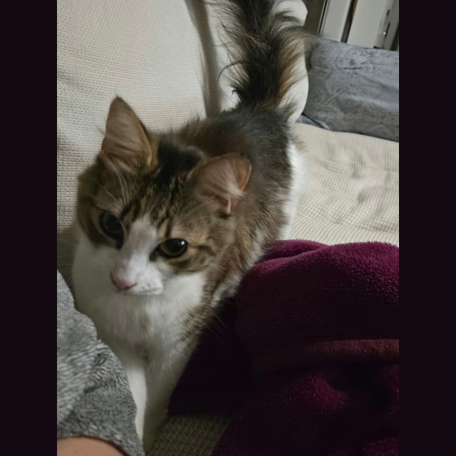 Photo of Evangeline 