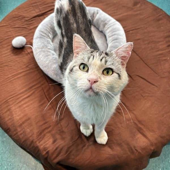 Photo of Dudley