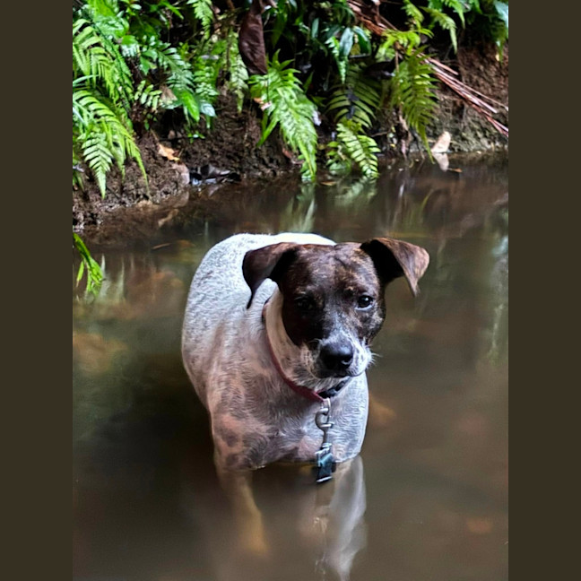 Photo of Billie Jean