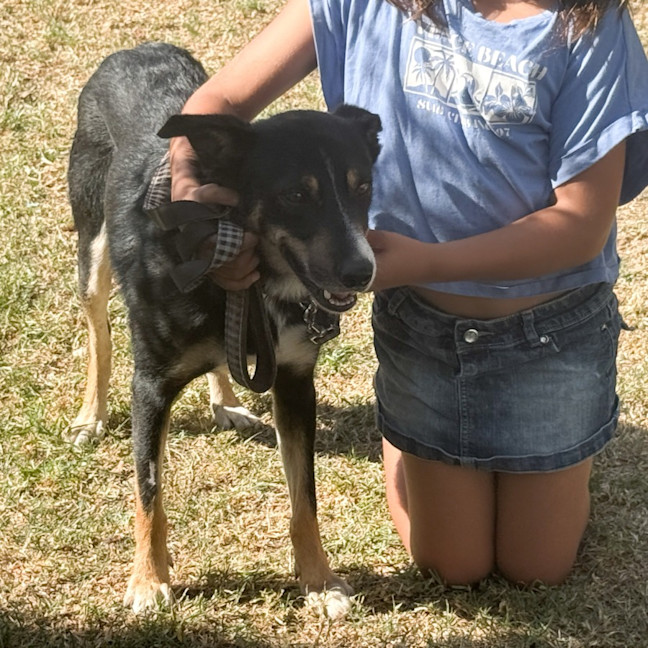 Photo of Devlin The Legend