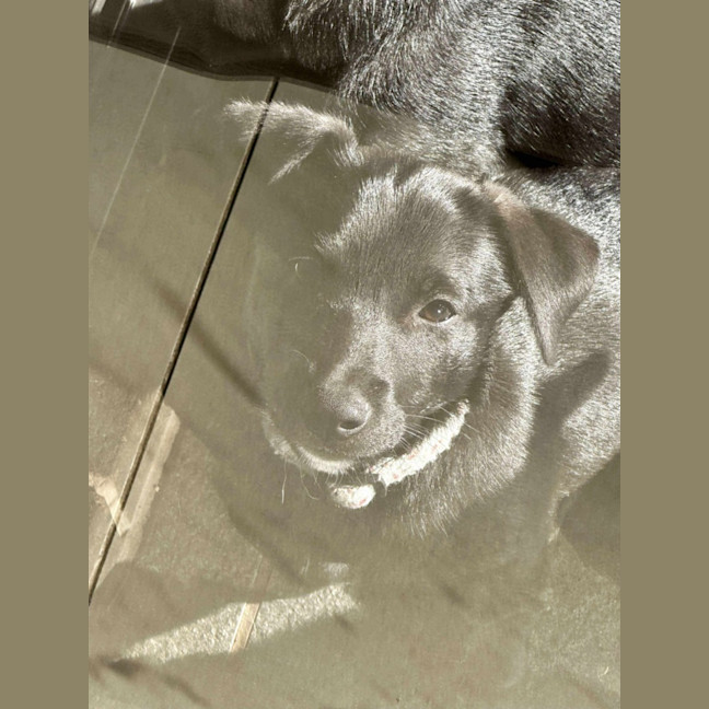 Photo of Austin