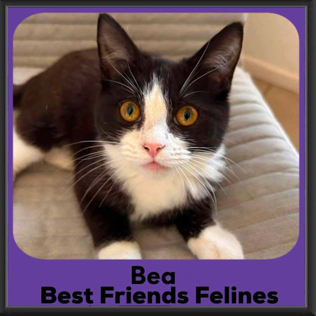 Photo of Bea 