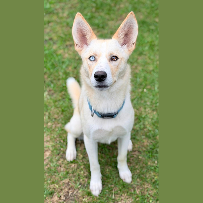 Photo of Sugar