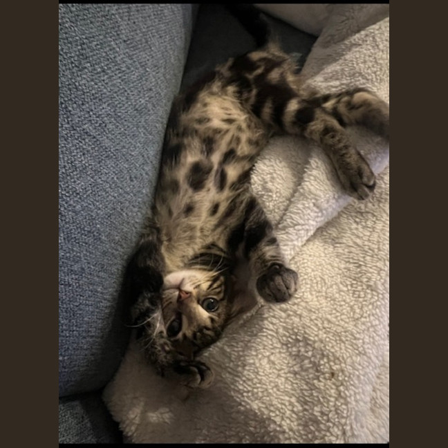 Photo of Louie