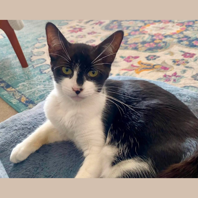 Photo of Betty