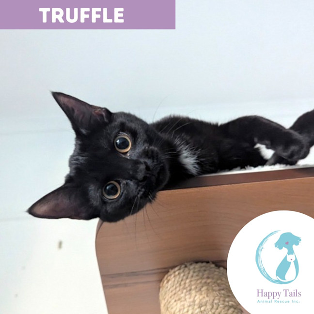 Photo of Truffle