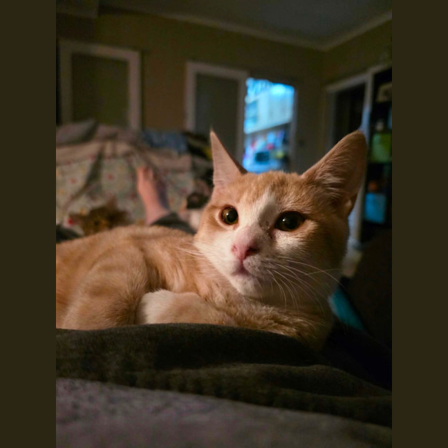 Photo of Peewee 