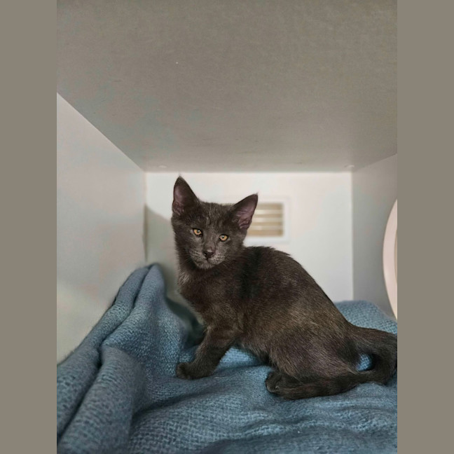 Photo of Wiggles