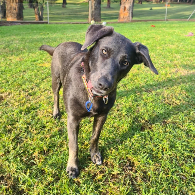 Photo of Tilly