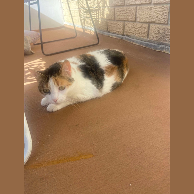 Photo of Shelly And Sandy