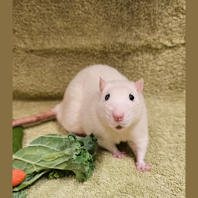 Photo of Fred