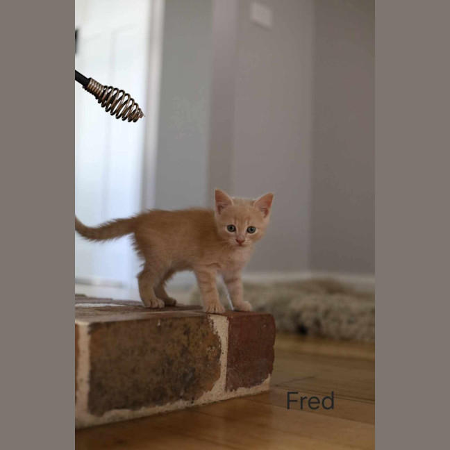 Photo of Fred 