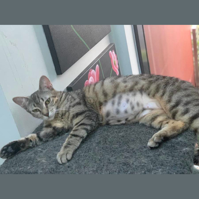 Photo of Ellie (Eleanor)