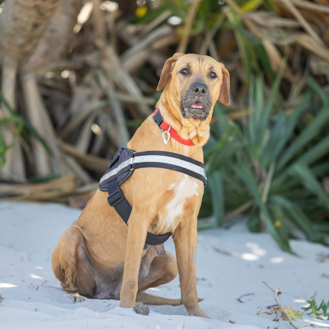 Photo of Dayna (Donya)