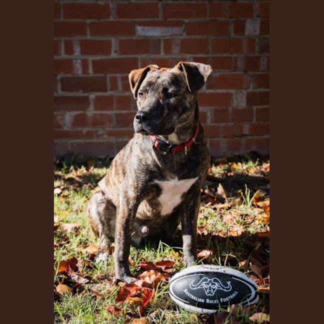 Photo of Benny Lozano