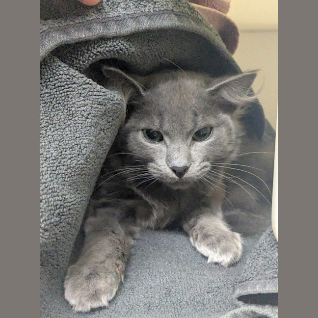 Photo of 💙 Misha 6699 💙