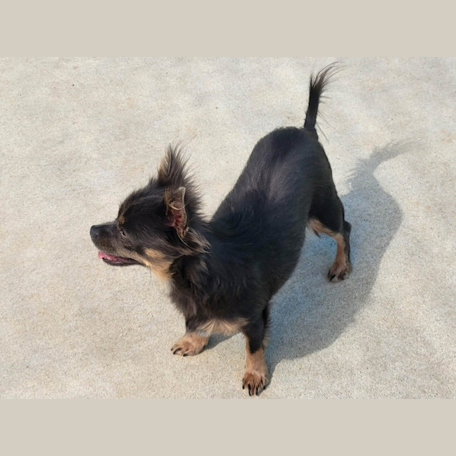 Photo of Evie