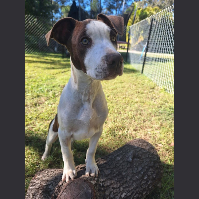 Photo of Phoenix