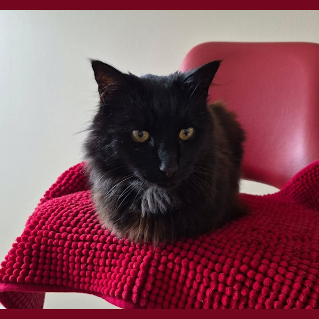 Photo of Leroy