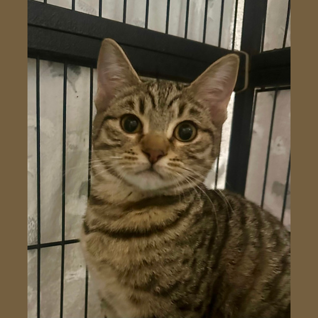 Photo of Evie