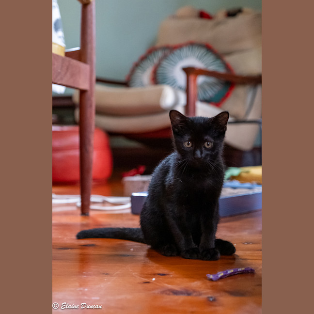 Photo of Ink