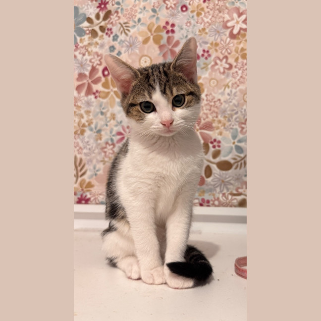 Photo of Arizona Appleby