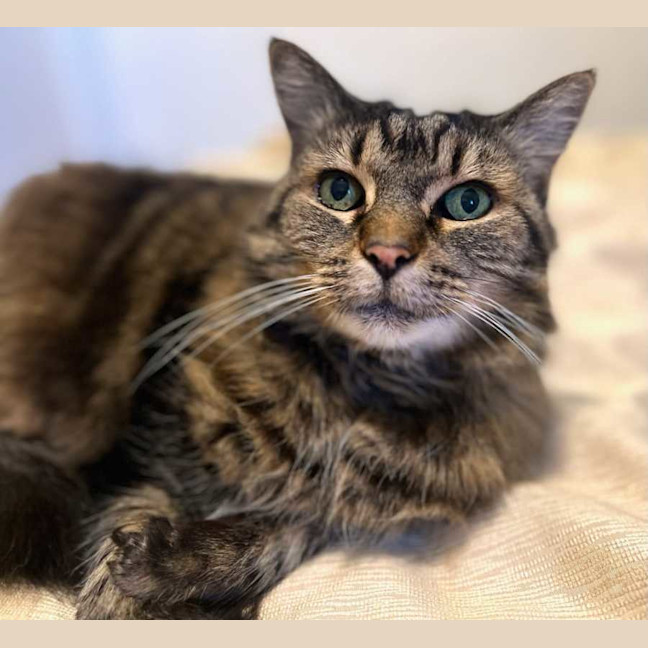 Photo of Charlotte