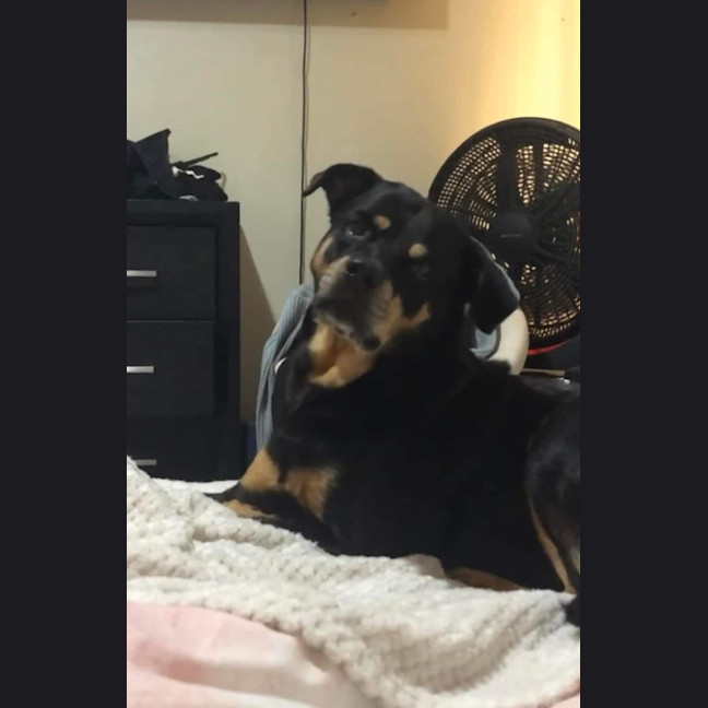 Photo of Lilly