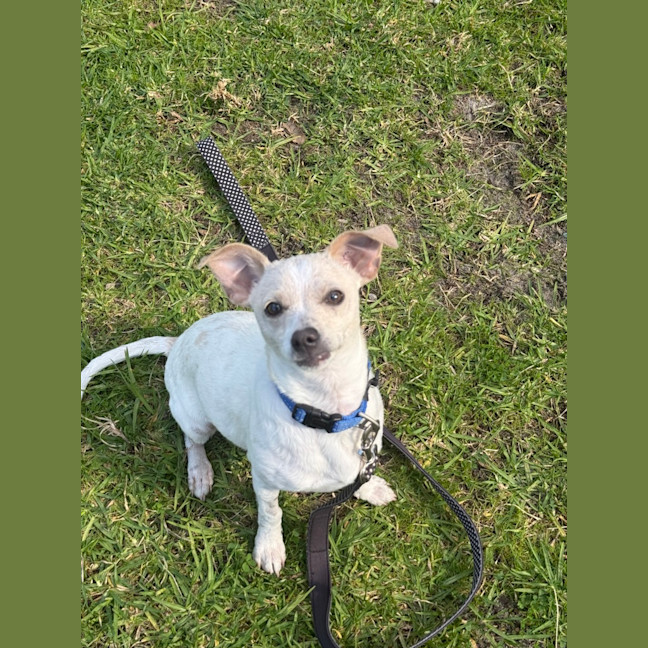 Photo of Coco