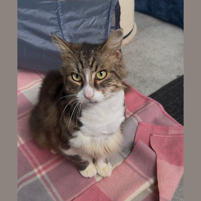 Photo of Milky 