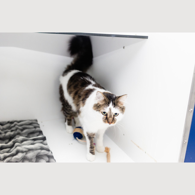 Photo of Beru