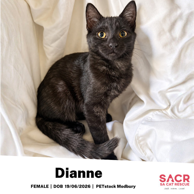 Photo of Dianne